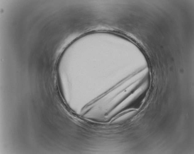 X0000067911367200605111932