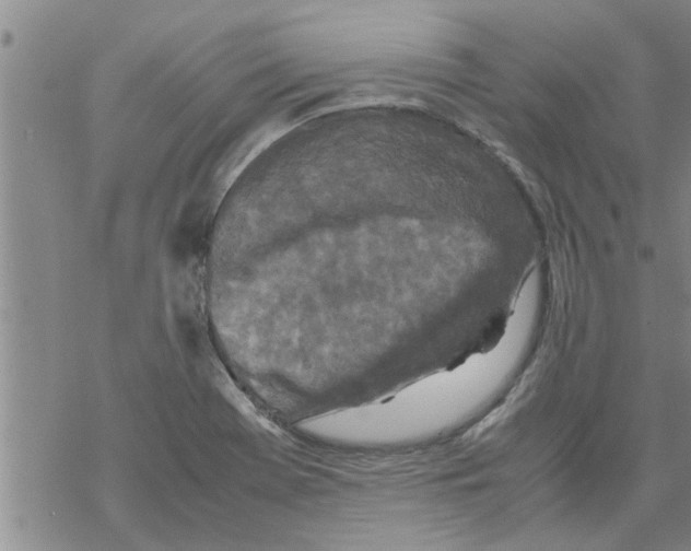 X0000067911369200605111932