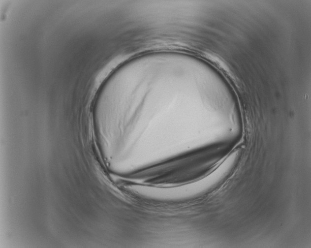 X0000067911371200605111932