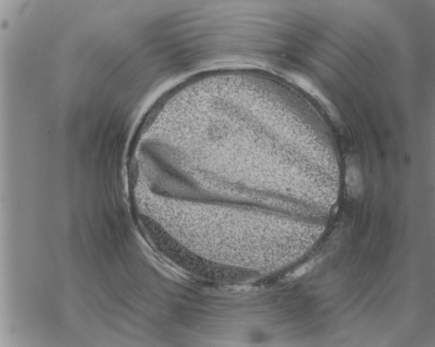 X0000067911372200605111932