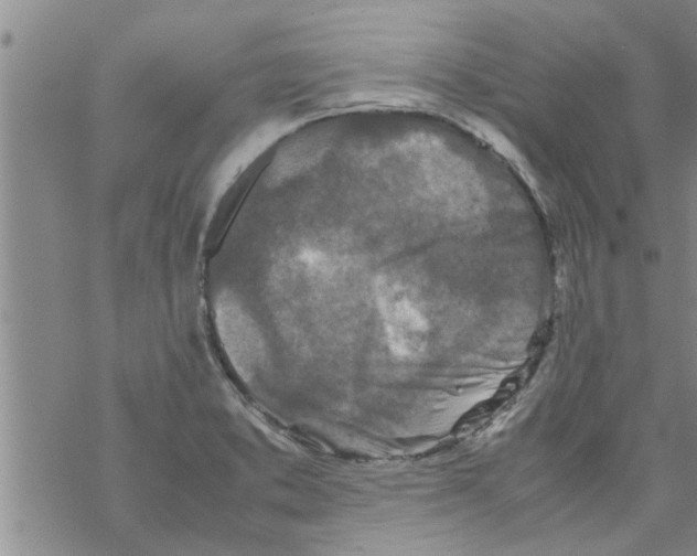 X0000067911373200605111932