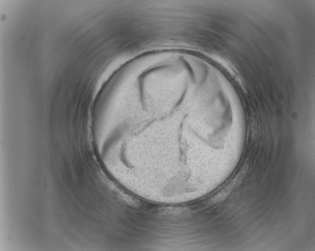 X0000067911374200605111932