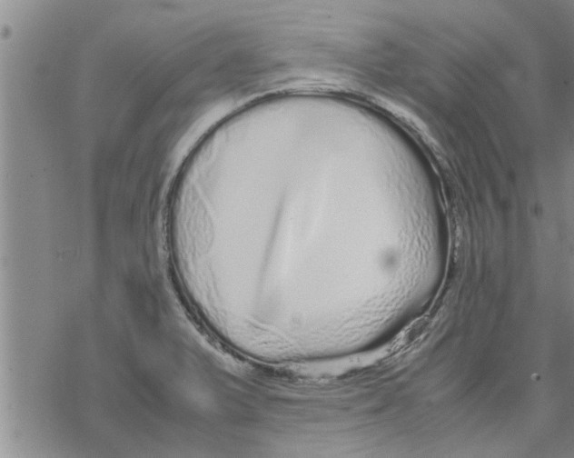 X0000067911375200605111932