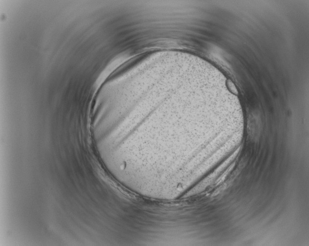 X0000067911378200605111932