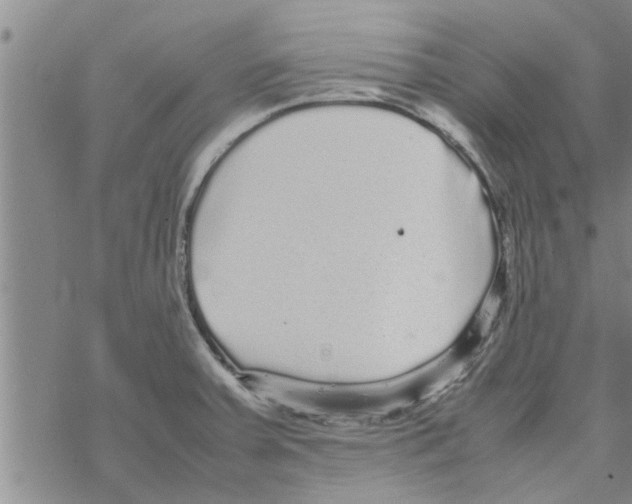 X0000067911379200605111932