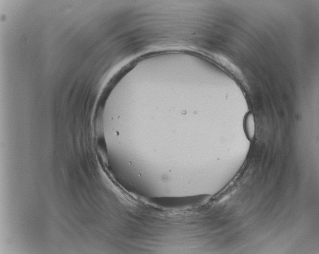 X0000067911380200605111932