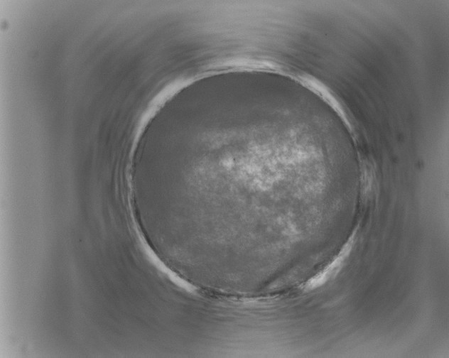 X0000067911381200605111932