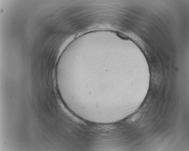 X0000067911382200605111932