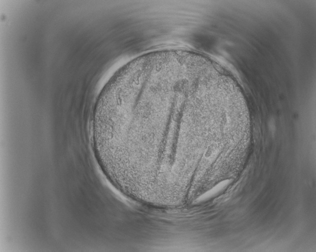 X0000067911383200605111932