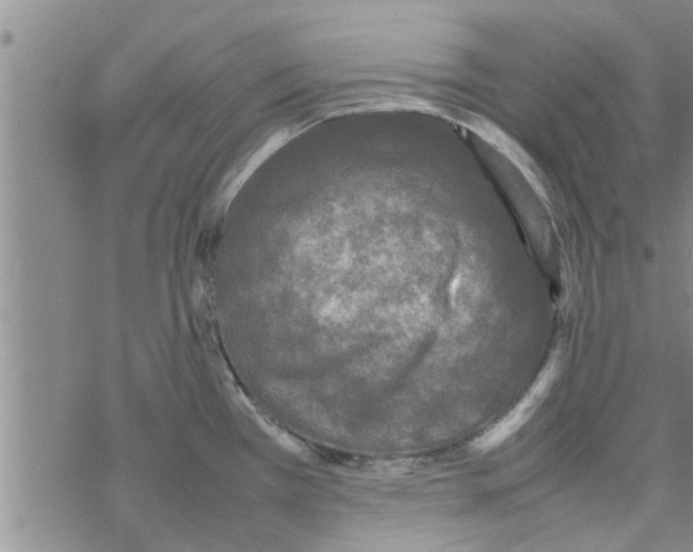 X0000067911385200605111932