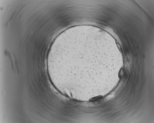 X0000067911388200605111931