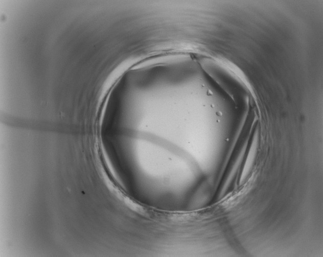 X0000067911389200605111931