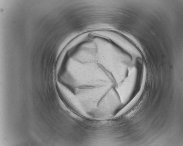 X0000067911390200605111931