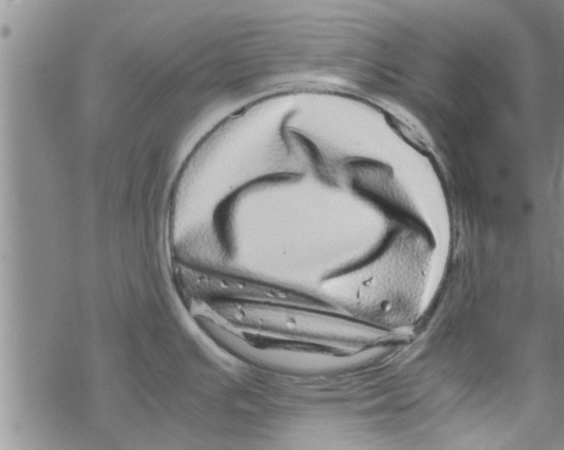 X0000067911391200605111931