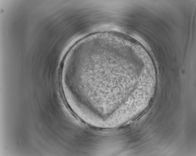 X0000067911392200605111931