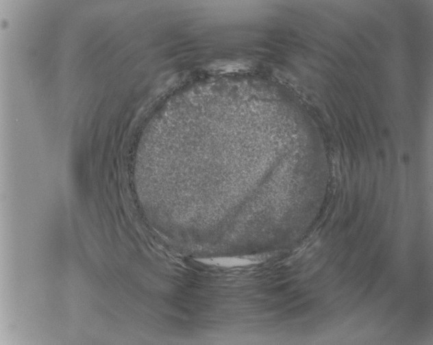 X0000067911393200605111931