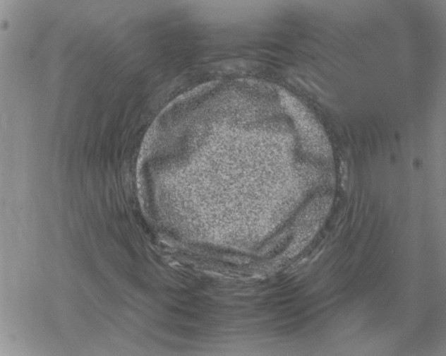 X0000067911395200605111931