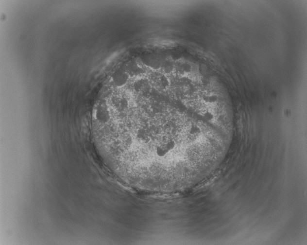 X0000067911397200605111931