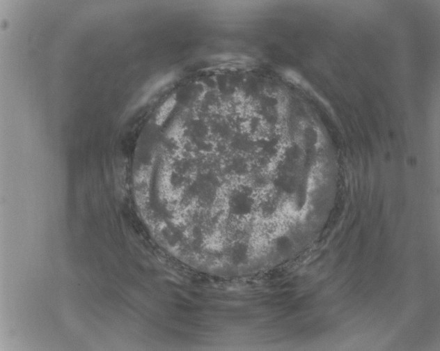 X0000067911399200605111931