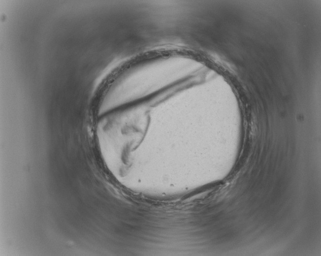 X0000067911400200605111931