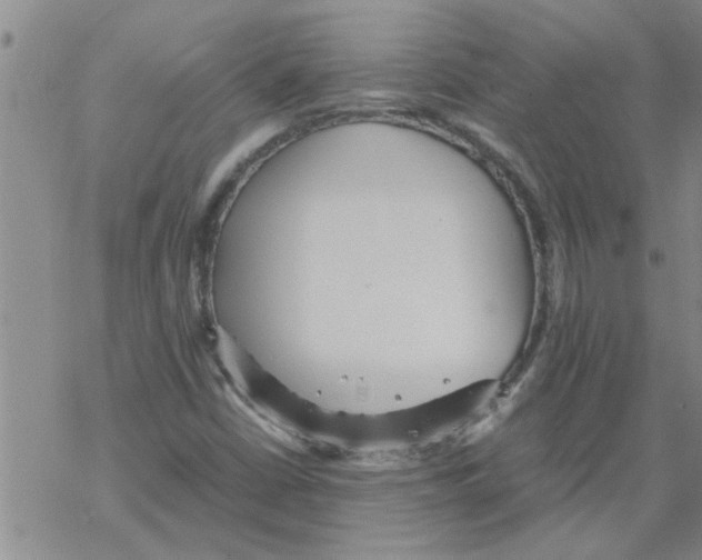 X0000067911402200605111931