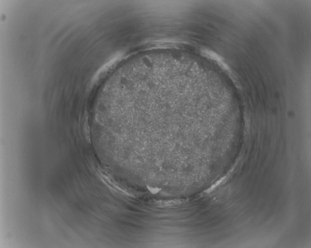 X0000067911403200605111931