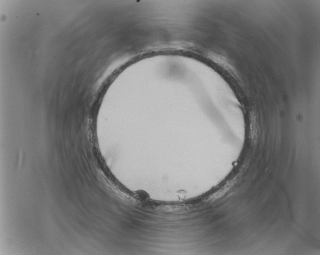 X0000067911404200605111931