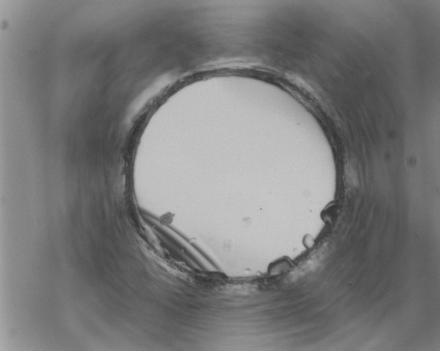 X0000067911406200605111931