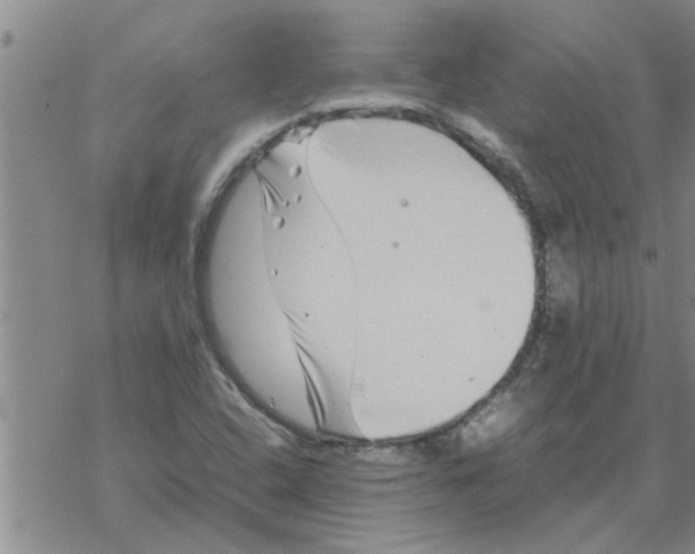 X0000067911408200605111931