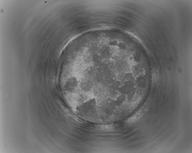 X0000067911409200605111931