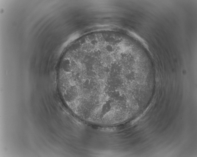 X0000067911411200605111931