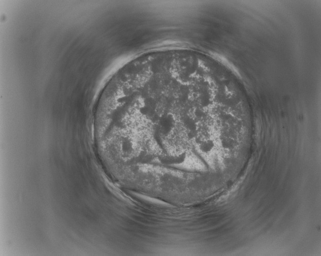 X0000067911413200605111931