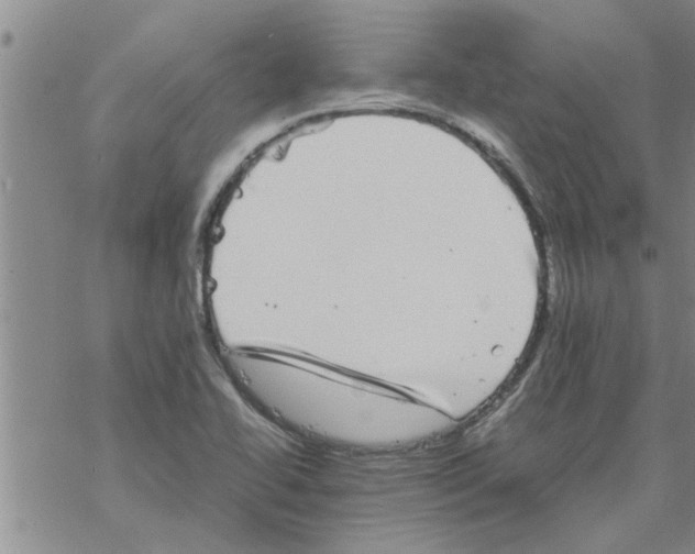 X0000067911414200605111931