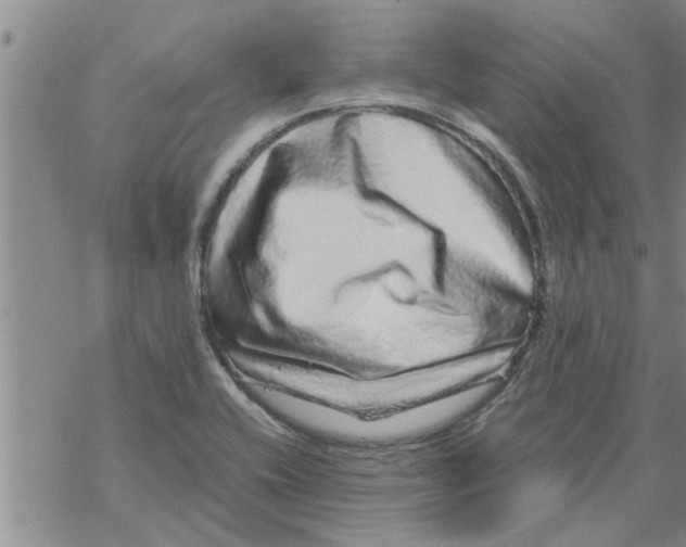 X0000067911416200605111931