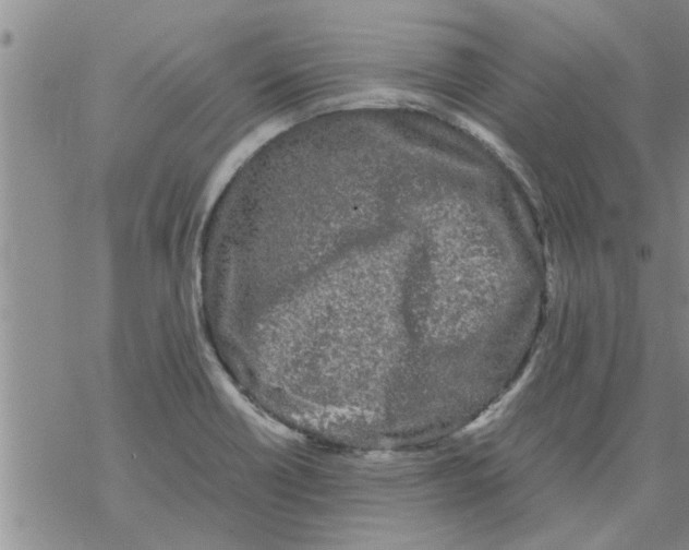 X0000067911418200605111931