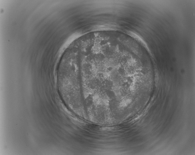 X0000067911419200605111931