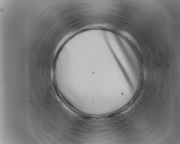 X0000067911420200605111931