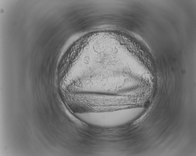 X0000067911421200605111931