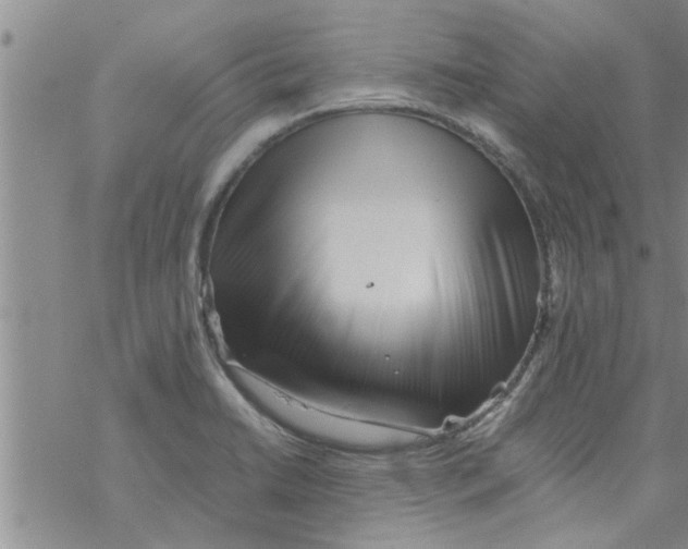 X0000067911422200605111931