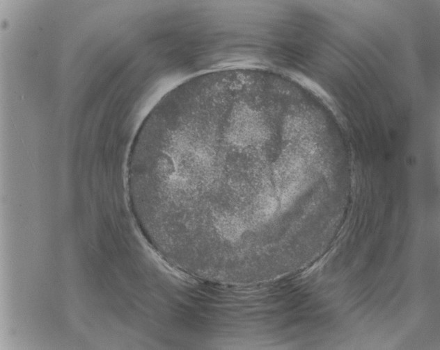 X0000067911423200605111931