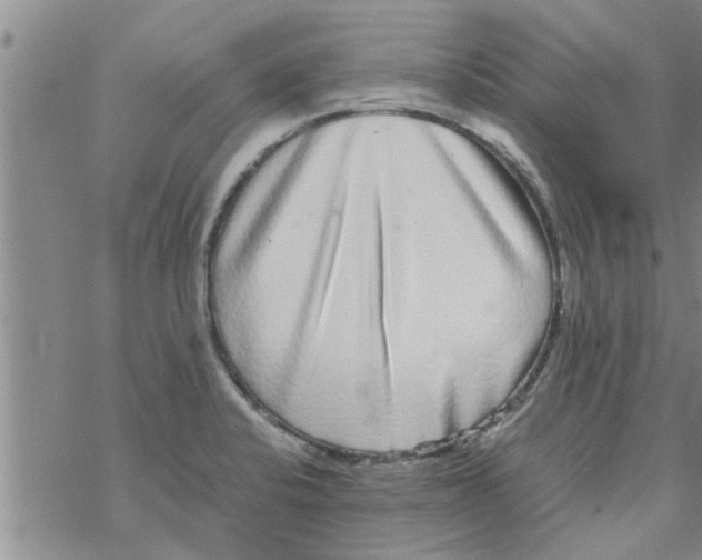 X0000067911424200605111931