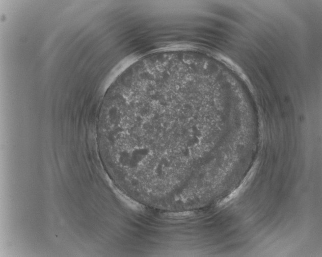 X0000067911425200605111931