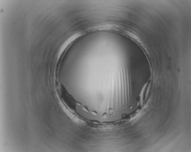 X0000067911426200605111931