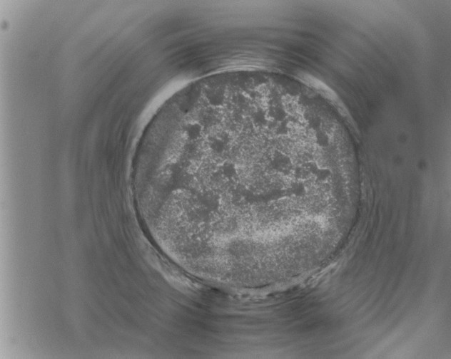 X0000067911427200605111931