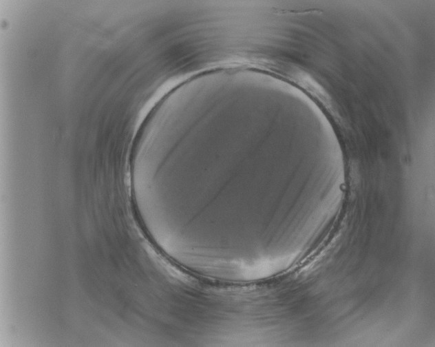 X0000067911428200605111931