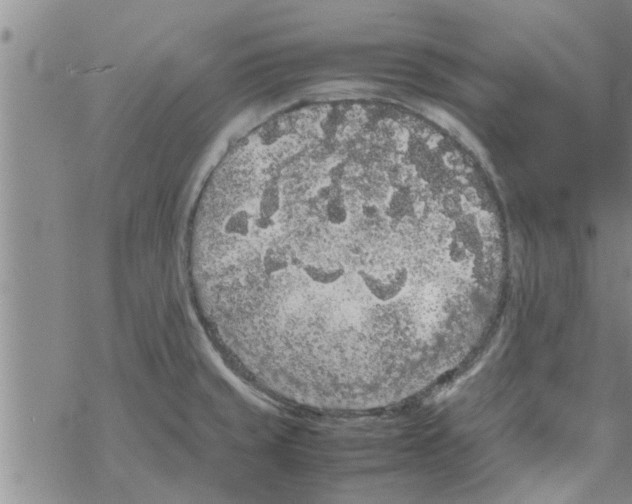 X0000067911429200605111931