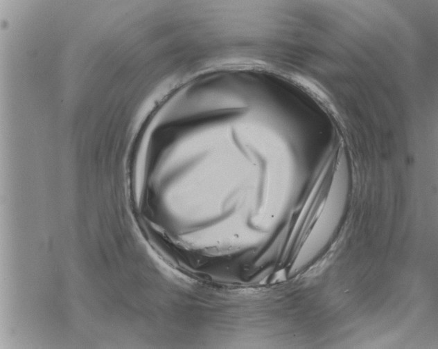 X0000067911430200605111931