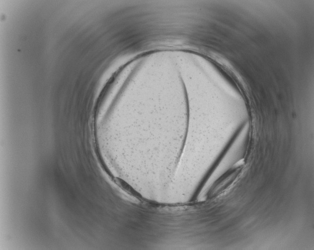 X0000067911432200605111931