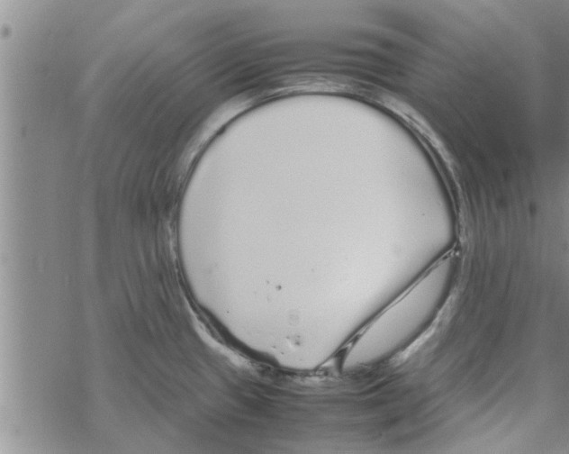 X0000067911433200605111931