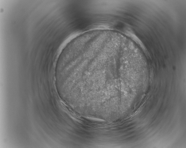 X0000067911435200605111931